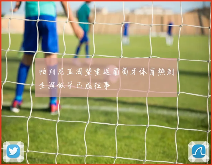 帕利尼亚渴望重返葡萄牙体育热刺生涯似乎已成往事