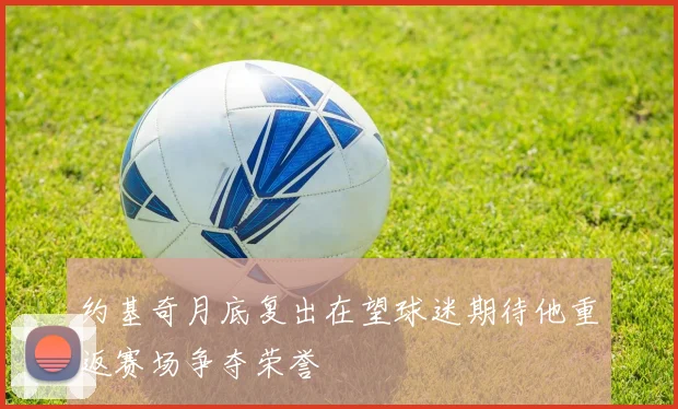 约基奇月底复出在望球迷期待他重返赛场争夺荣誉